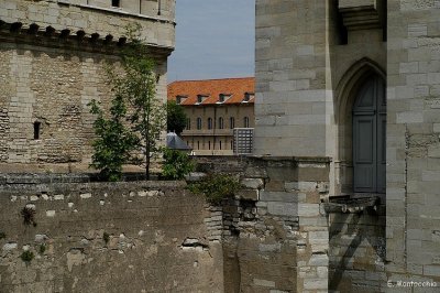 Le nid se trouve  droite, au dessus de la porte grise.