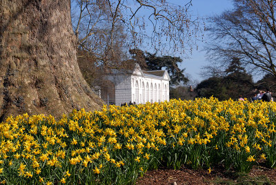 White Peaks and the Orangery