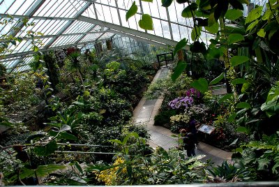Inside the conservatory...