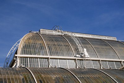 Palm House