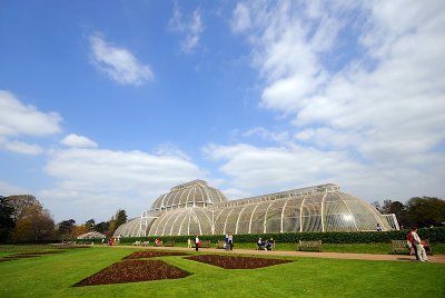 Palm House (stretched...)