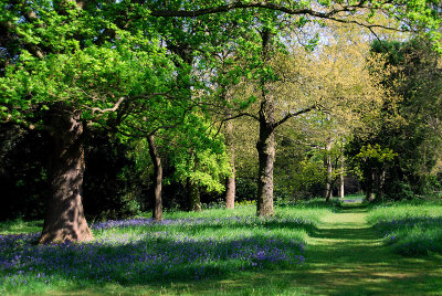 Along the River Thames