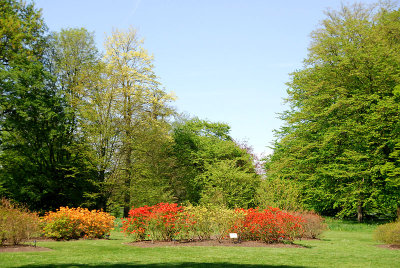 Azalea Garden