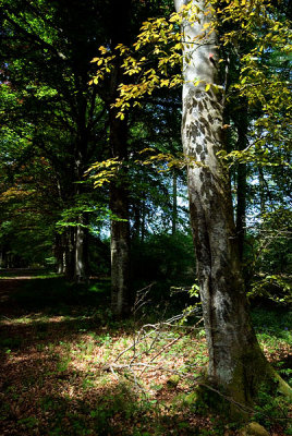 More than on earth is thought.5 May 2007 (348)