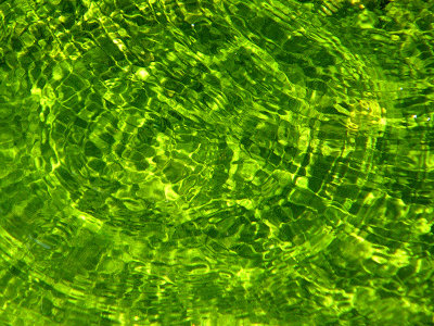 Green water...