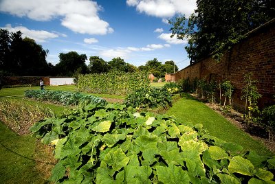 In the walled garden...