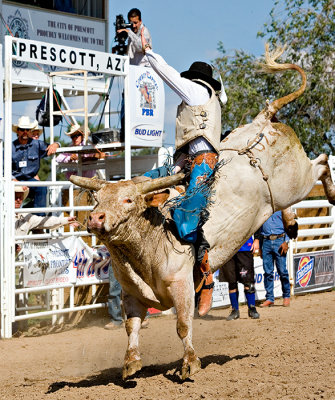 James Cole Pierce Rio Rancho NM 3.JPG