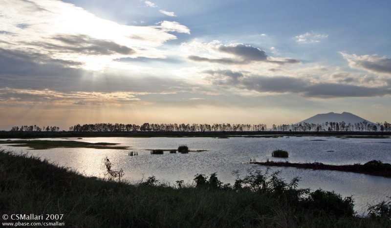 Beautiful Candaba at Sunset