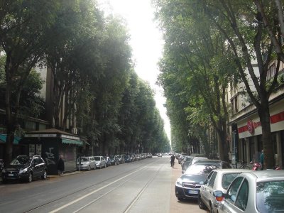 DSC08925.JPG