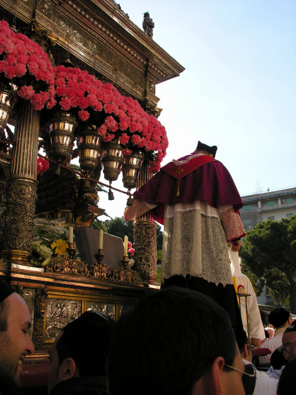 DSCN8520.jpg