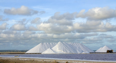 Salt Vista