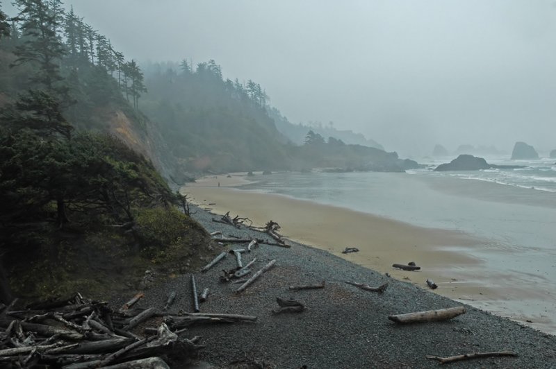 Coastal View