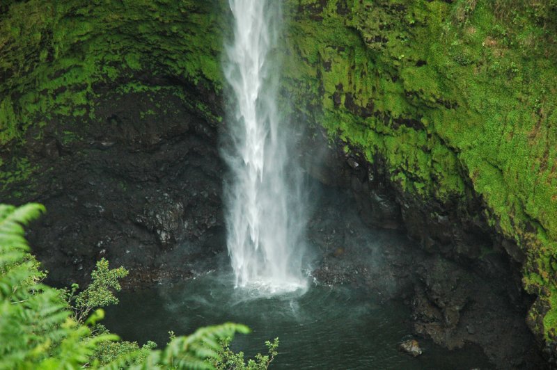 Akaka Falls 2