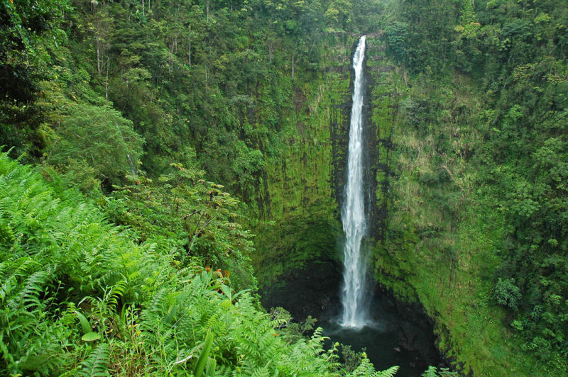 Akaka Falls 3