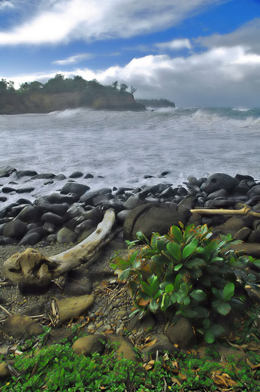 Ocean View