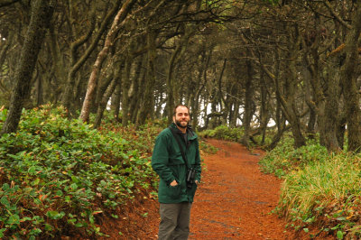 Coastal Forest