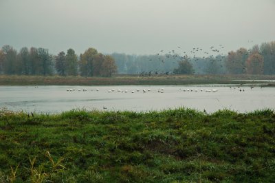 Ridgefield Pond 2