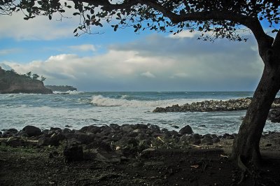 Pacific View