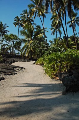 Path to Snorkeling Bay