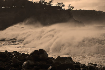 Sepia Surge