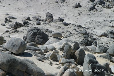 Granite sand, stones, rocks