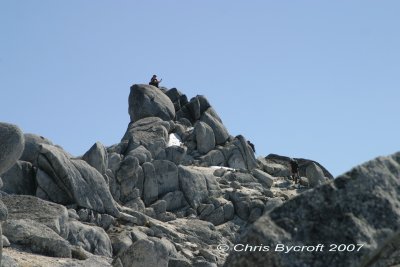 Fliss on top - yet more granite