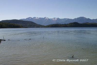Lake Manapouri - the last photo