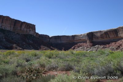 IMG_8889.jpg