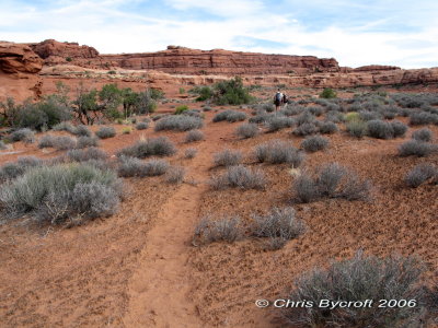 Track in the desert