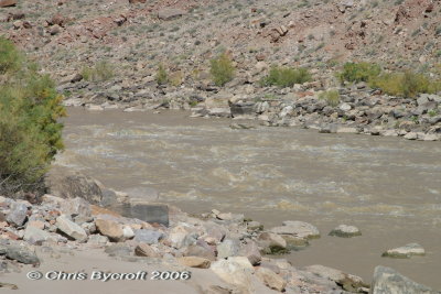 Colorado River at Rapid 2 in Cataract Canyon