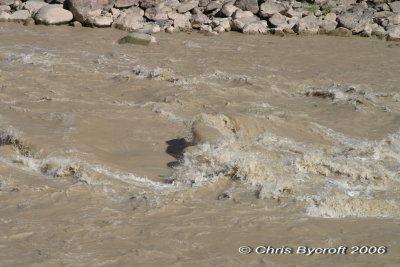 River 1