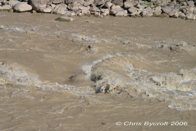 River 2