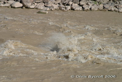 River 3