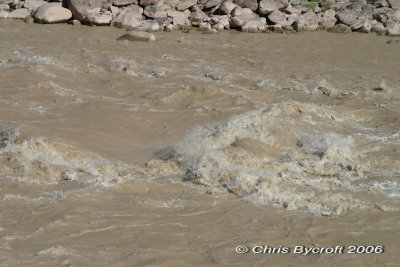 River 4