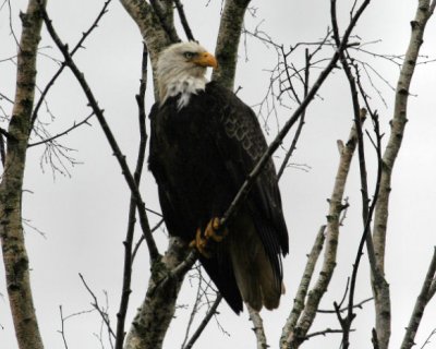g6/66/657566/3/75158718.c0ABADo9.jpg