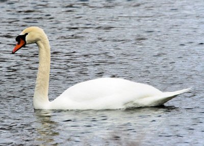 IMG_3615.JPG