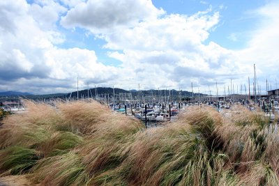 harbor