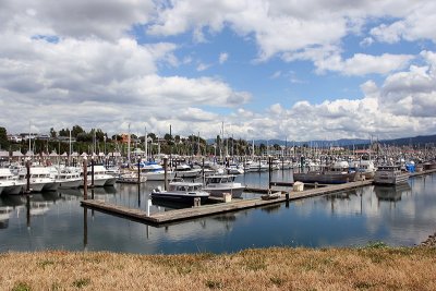 bellingham harbor