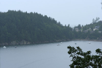 bellingham bay