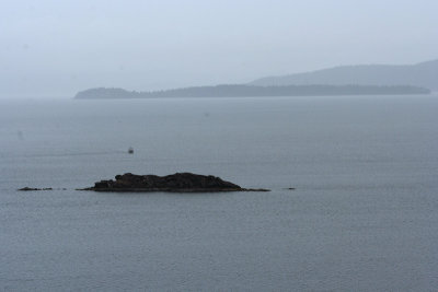 bellingham bay