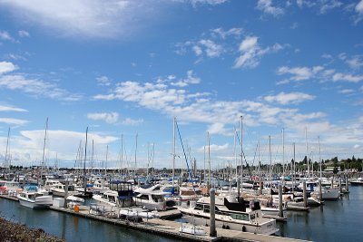 harbor