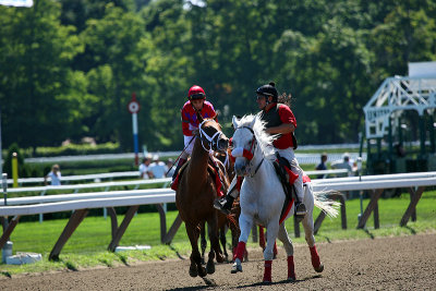 prerace 5