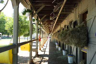 a day at the races