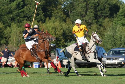 polo