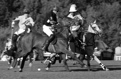 polo