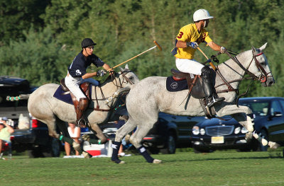 polo