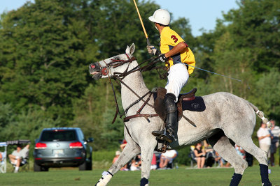 polo