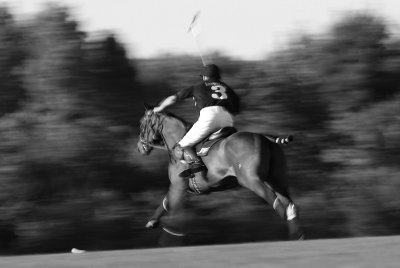 polo and horse racing in saratoga