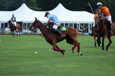  p6.jpg