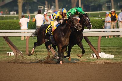 street sense and grasshopper